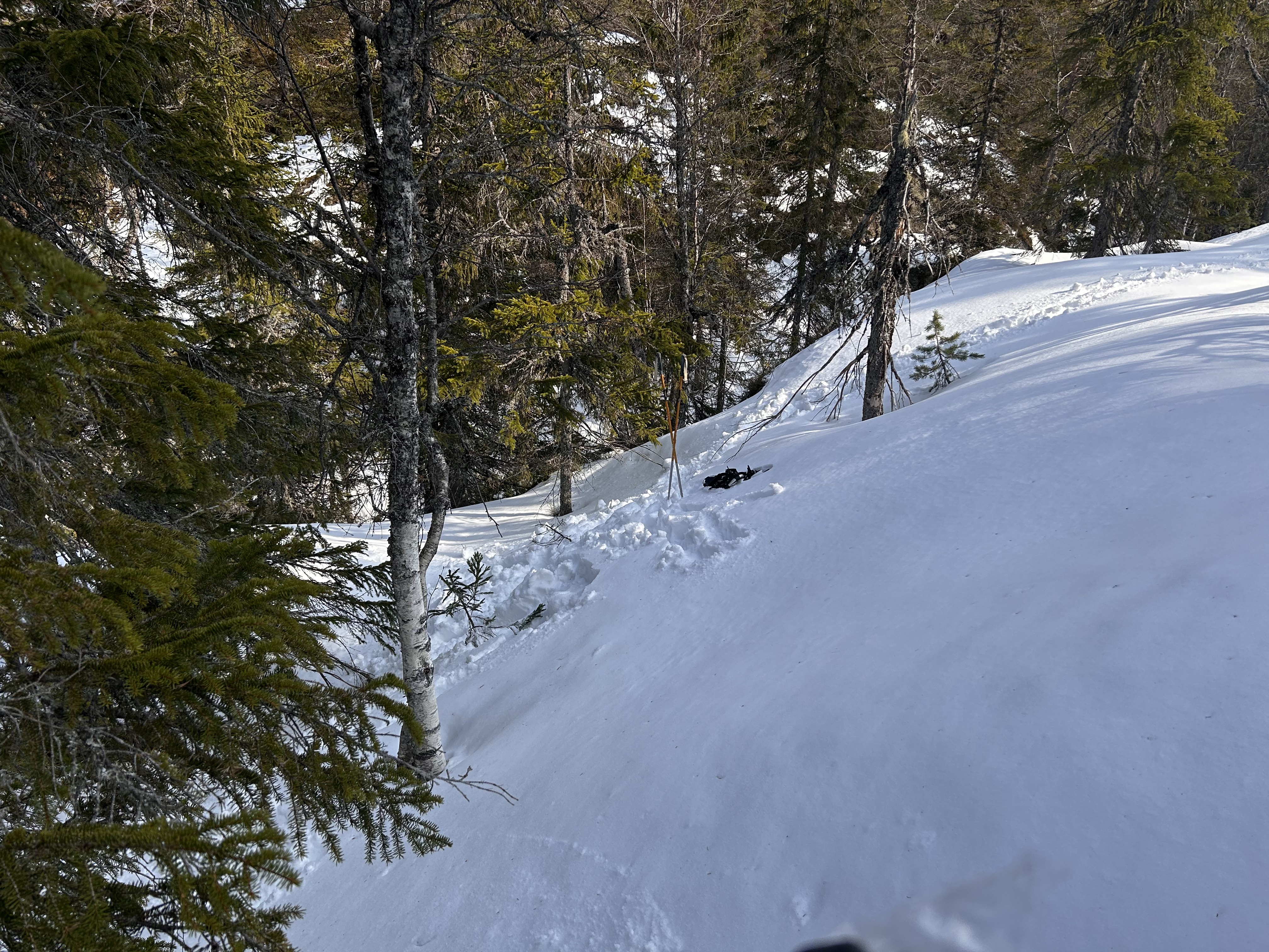 Utsikt fra øde punkt