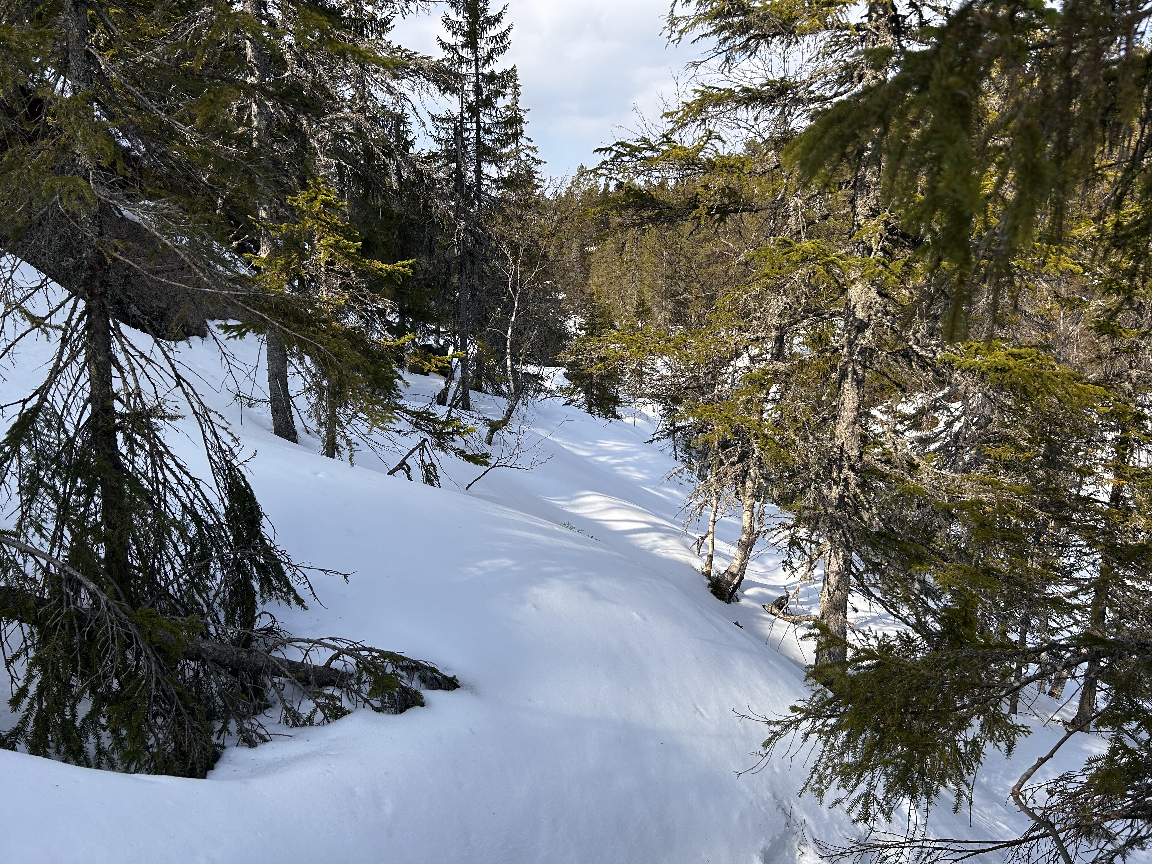 Utsikt fra øde punkt
