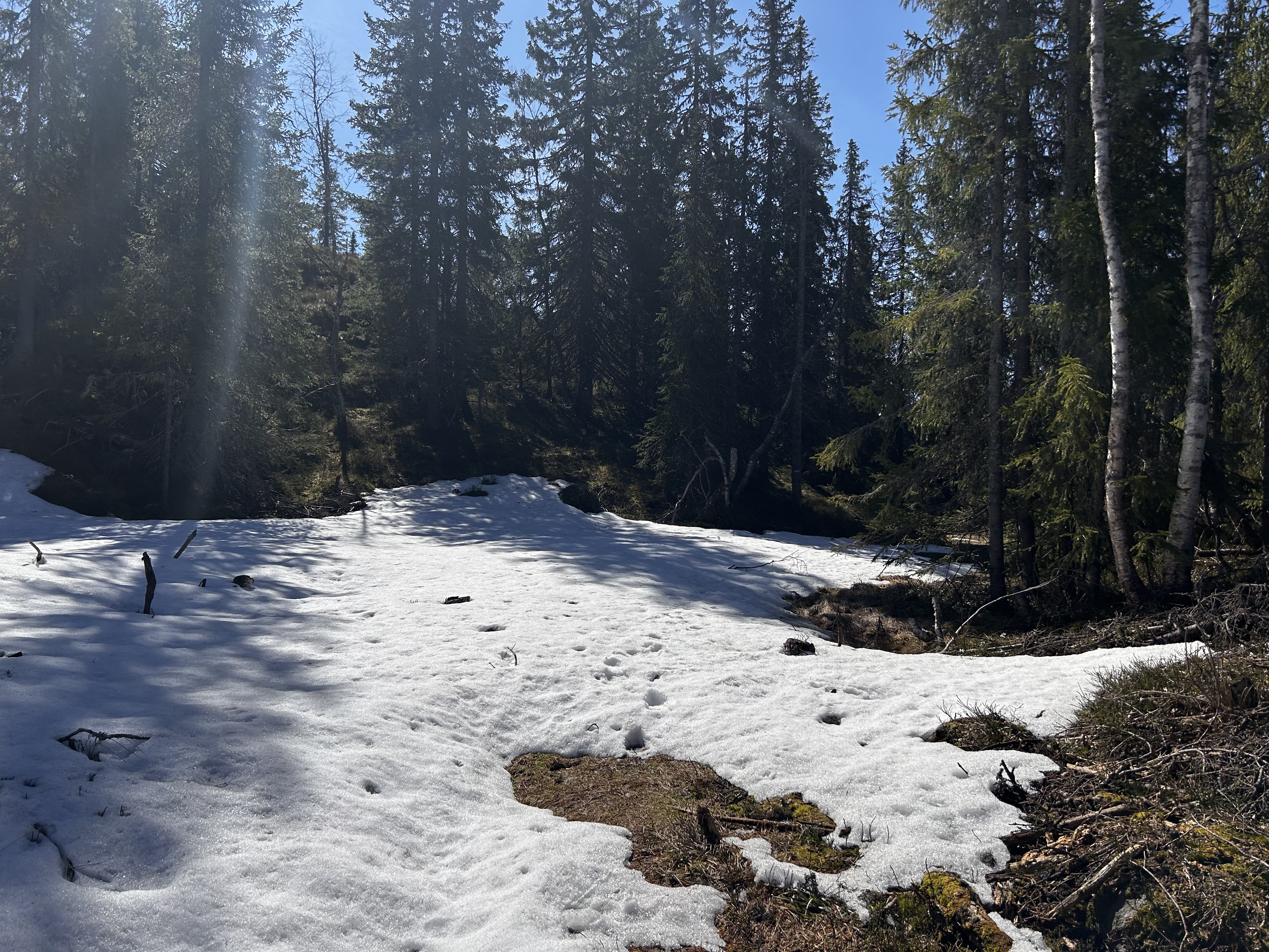 Litt snø i stien