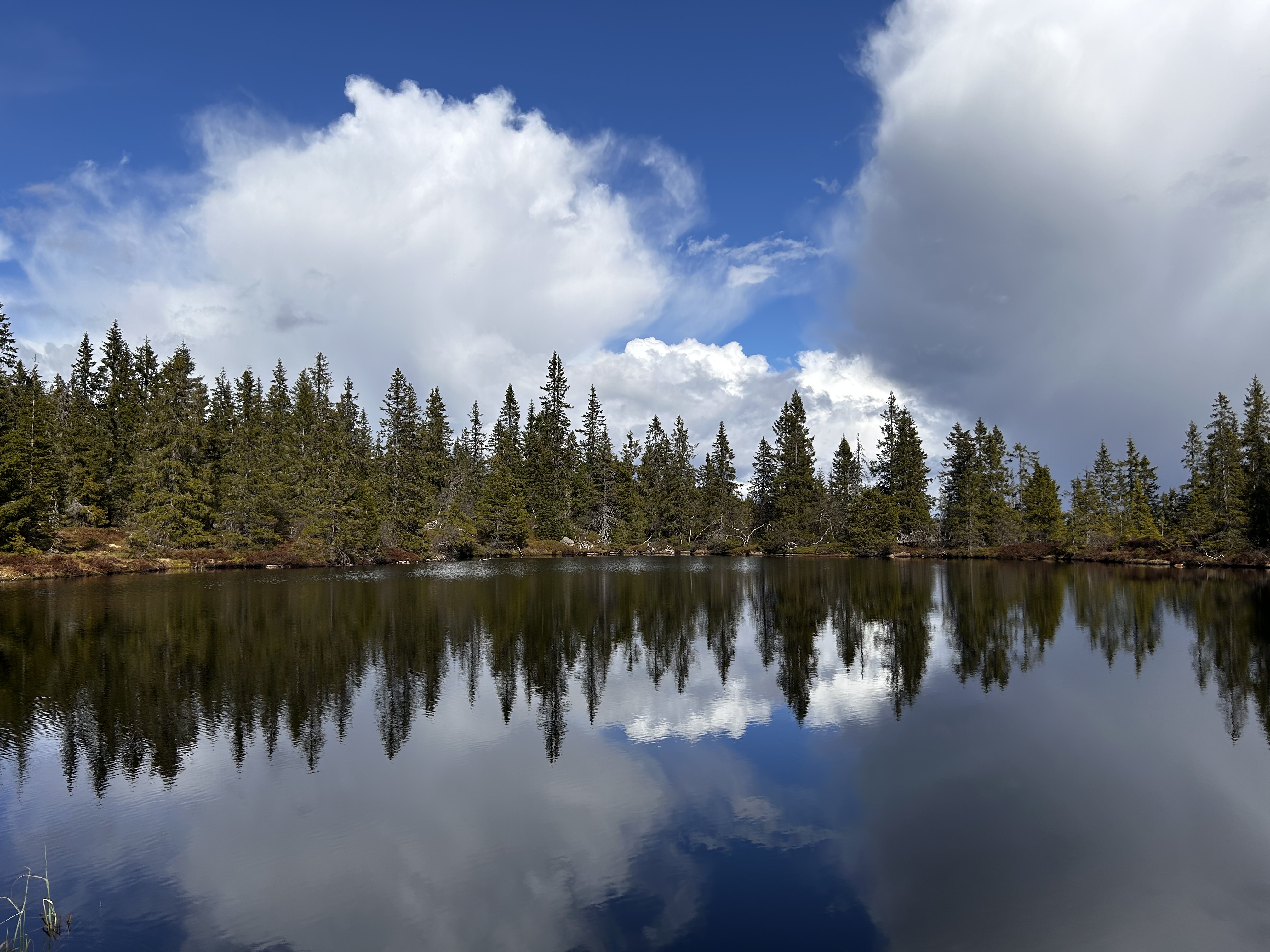 Stille tjern etter lunsj i været.