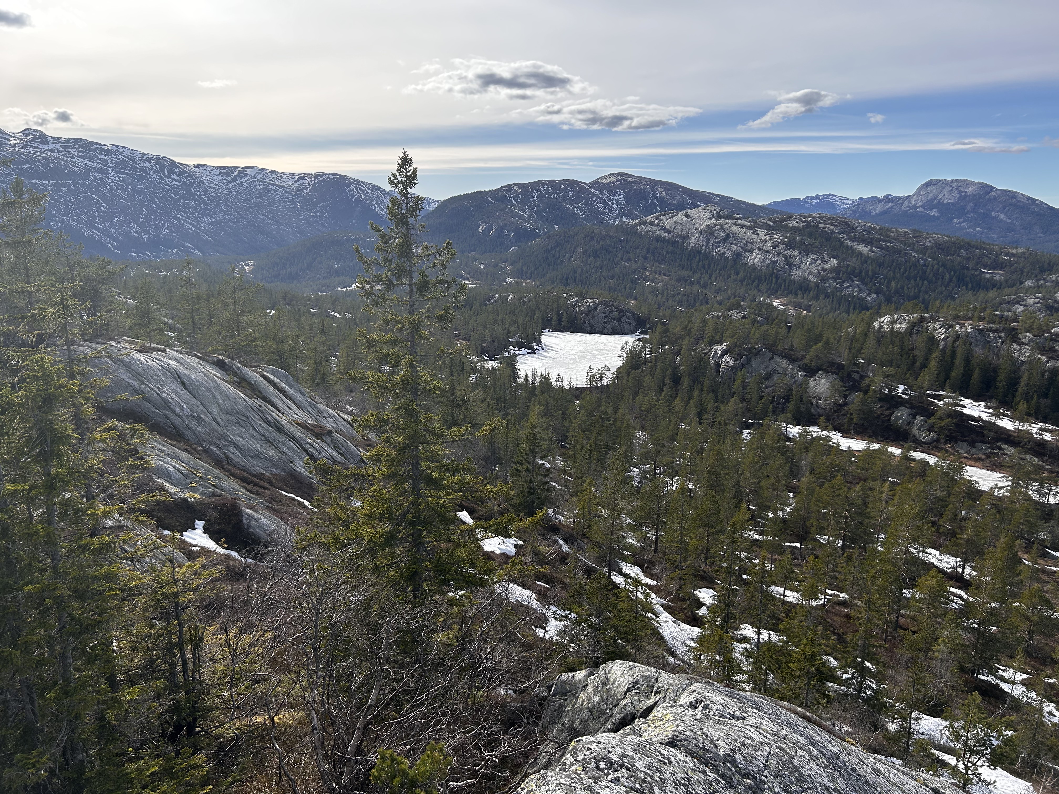 Utsikt mot Damtjønn